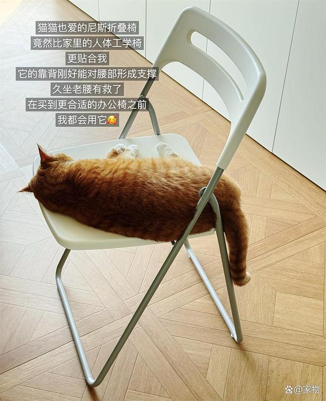 宜家便宜好物推荐_宜家便宜必买的东西_