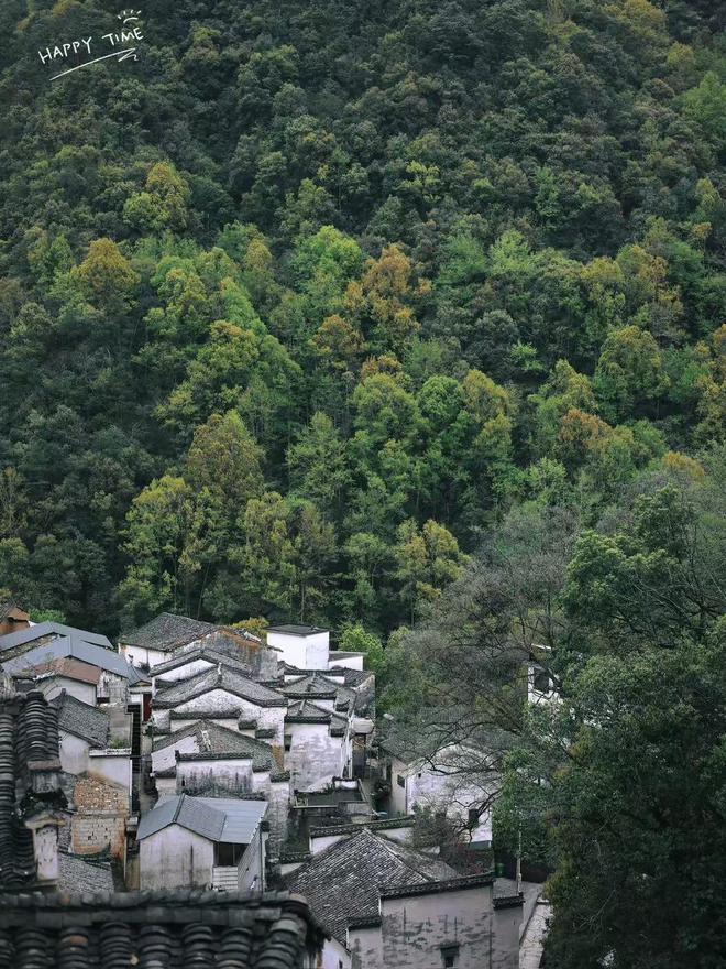 年轻人爱上“充电式旅游”，带动乡村旅游热度攀升