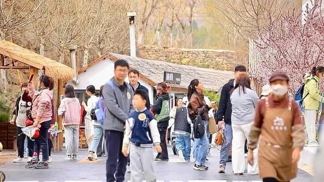_旅游热度排名_以农业带动乡村发展