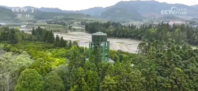 _太平洋600多元防癌险消费险_多元土和活力土有什么区别