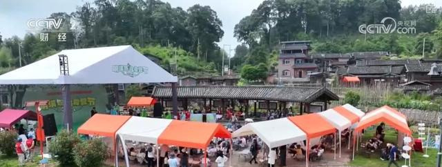 _太平洋600多元防癌险消费险_多元土和活力土有什么区别