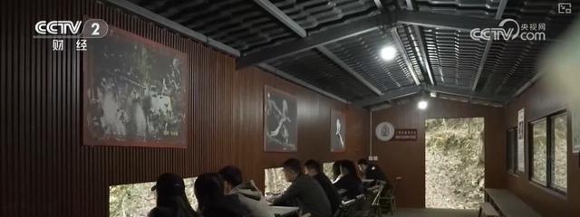 太平洋600多元防癌险消费险__多元土和活力土有什么区别