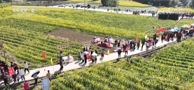 _多元土和活力土有什么区别_太平洋600多元防癌险消费险