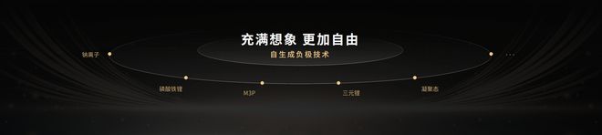 时代宁德新能源_时代新能源宁德_