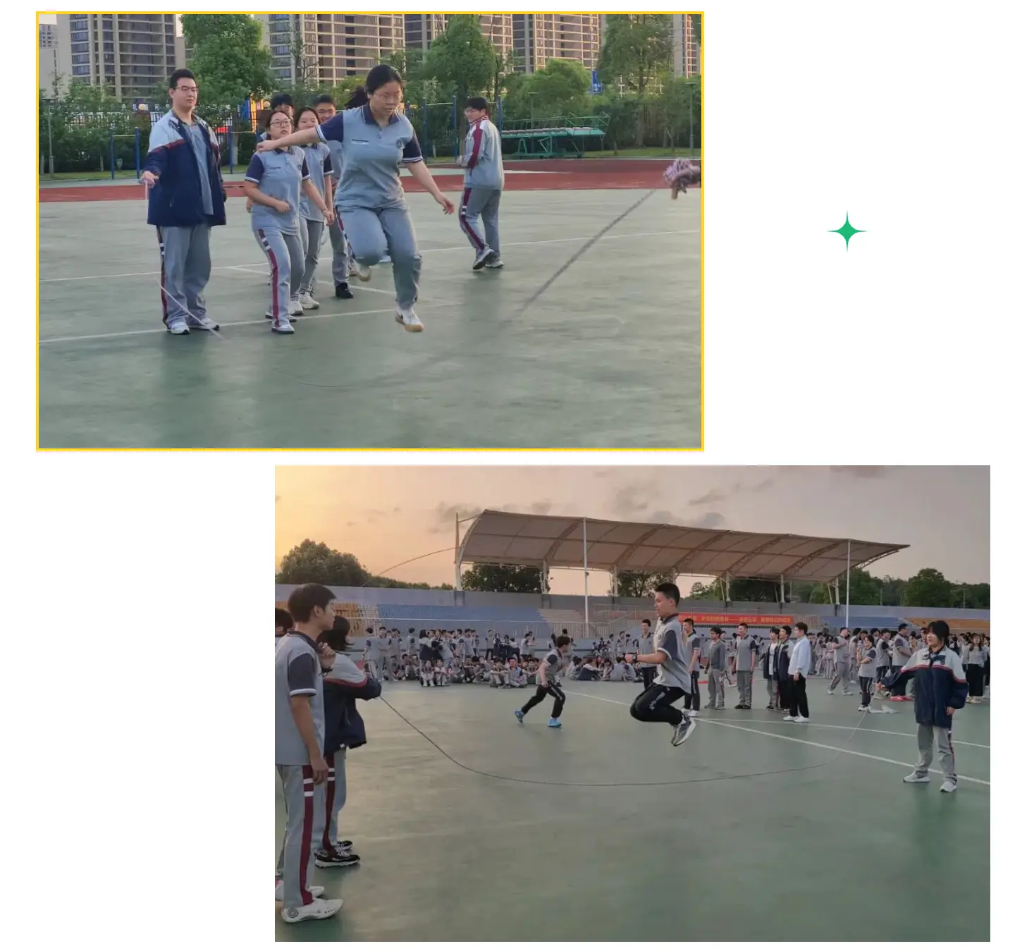 阳光高考体育平台_阳光体育高考网_