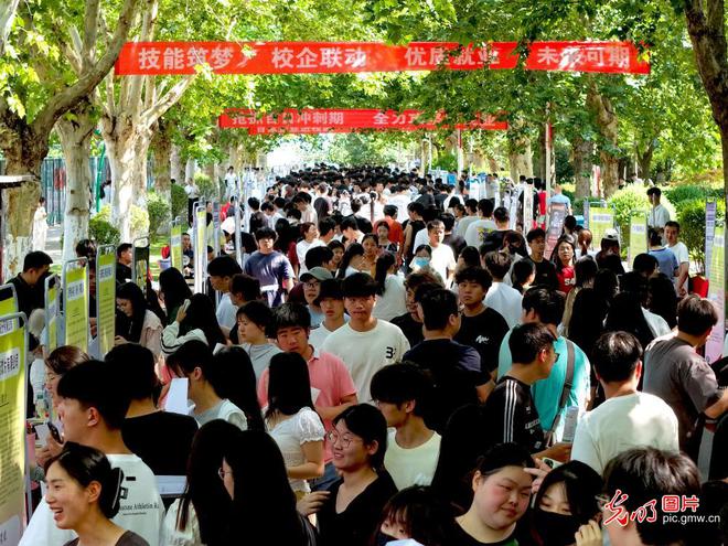 _促就业举措_促就业宣传标语