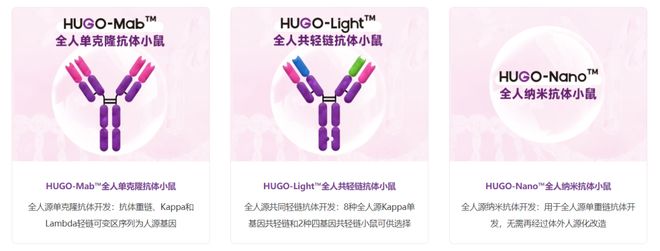_正式发布｜中国双特异性抗体药物市场全景分析暨创新研发解决方案白皮书_正式发布｜中国双特异性抗体药物市场全景分析暨创新研发解决方案白皮书
