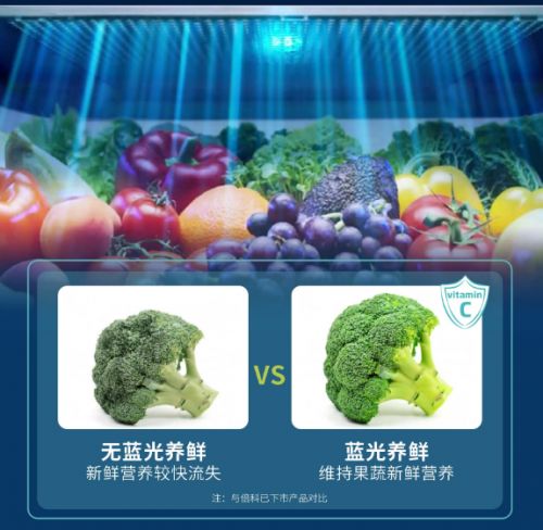 安心餐厅图片__安心用餐