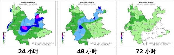 中国在多极化格局中的作用__香港屈臣氏红酒