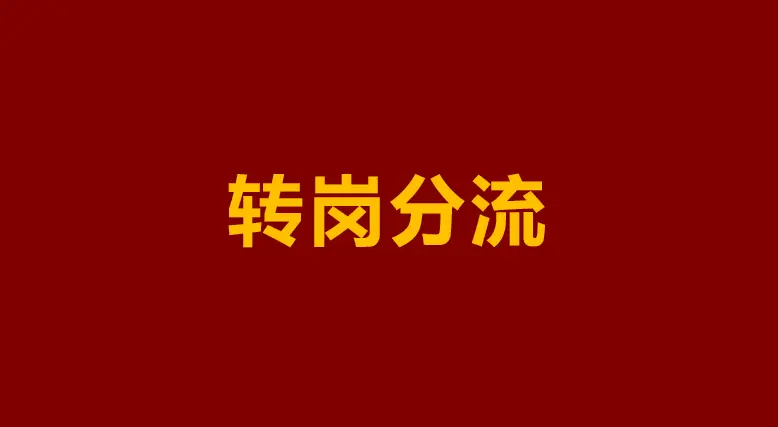 转岗分流教师管理办法_转岗和分流的区别是什么_