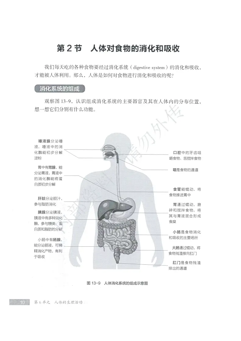 苏教版生物书答案_生物苏教版电子书_