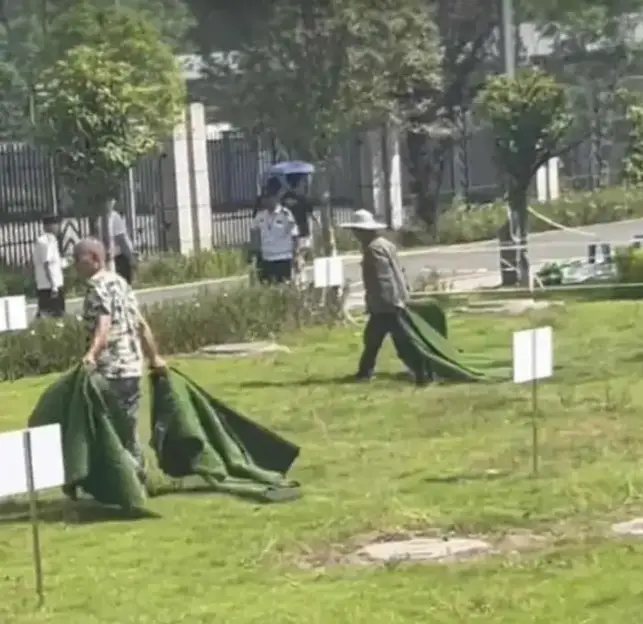 _学校责任跑不掉!重庆一大学生掉化粪池溺亡,疑为应付检查盖假草皮_学校责任跑不掉!重庆一大学生掉化粪池溺亡,疑为应付检查盖假草皮