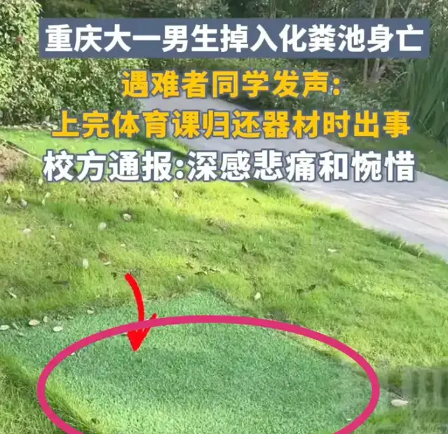 学校责任跑不掉!重庆一大学生掉化粪池溺亡,疑为应付检查盖假草皮_学校责任跑不掉!重庆一大学生掉化粪池溺亡,疑为应付检查盖假草皮_
