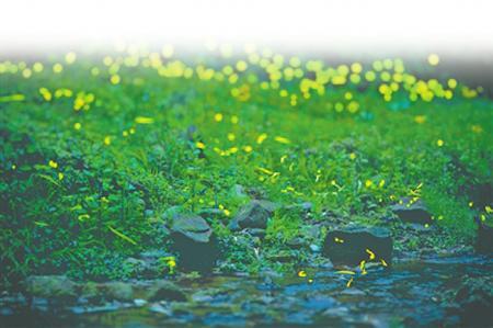 元稹表夏十首_元稹二十四节气诗词视频_