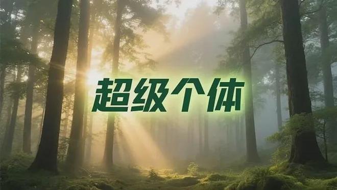 你不是卷不过，而是你还只是一个人