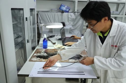 _从“软得像面条”到清晰可辨：考古人这样抢救简牍_从“软得像面条”到清晰可辨：考古人这样抢救简牍