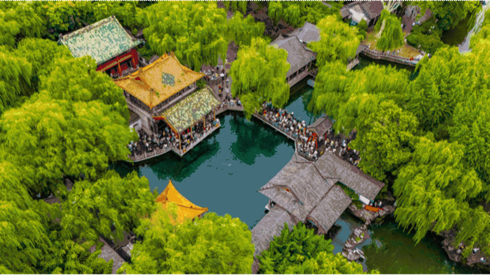 7月23日最佳情报|济南趵突泉绿意盈眸，泰安并蒂莲含苞待放