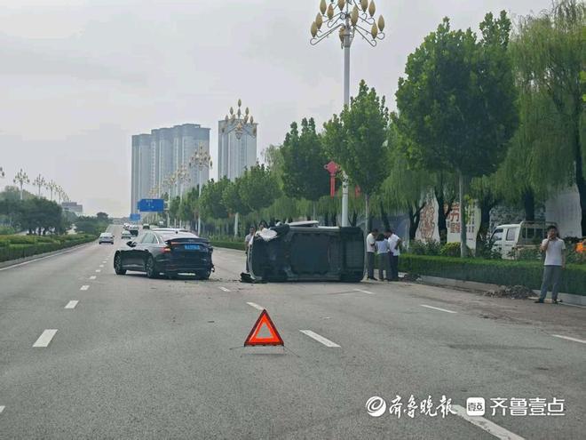 7月23日最佳情报|济南趵突泉绿意盈眸，泰安并蒂莲含苞待放__7月23日最佳情报|济南趵突泉绿意盈眸，泰安并蒂莲含苞待放