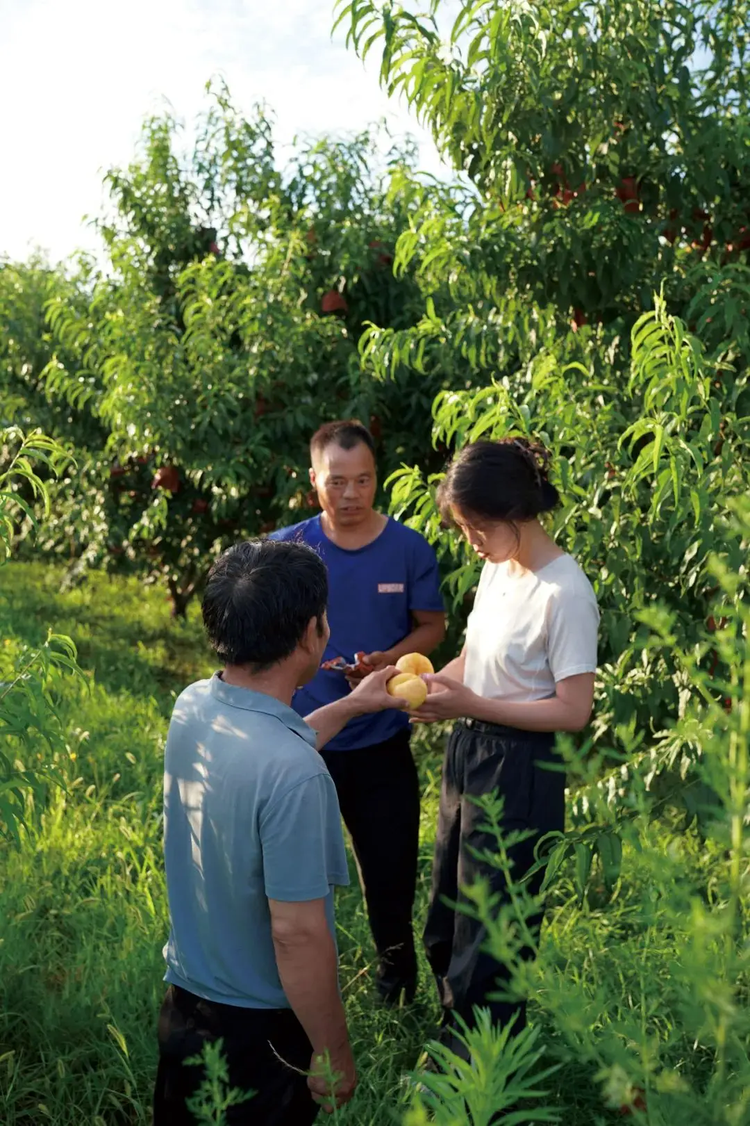 下岗后卖水果__打工打累了想卖水果