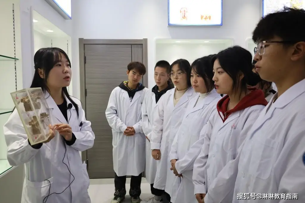 本科学计算机考研_本科学计算机读研学什么好_