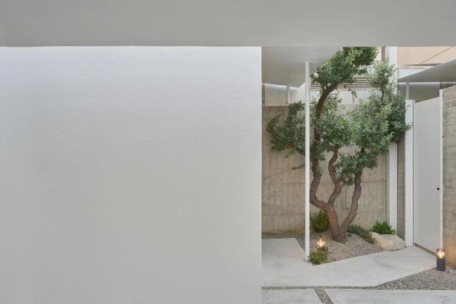 自己动手打造庭院__山谷效果图