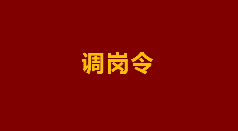 会误子弟高中调教小学生吗__去小学还是中学当老师