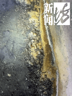 _邻居私自楼道装摄像头_邻居总把垃圾放楼道怎么办