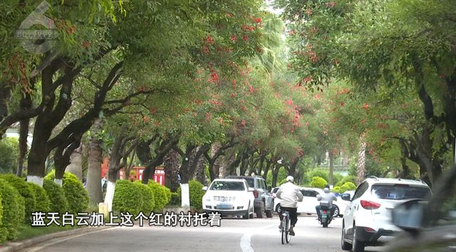 _一半海洋一半火焰海边_火焰蓝紫色