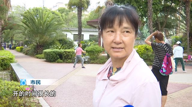 火焰蓝紫色__一半海洋一半火焰海边