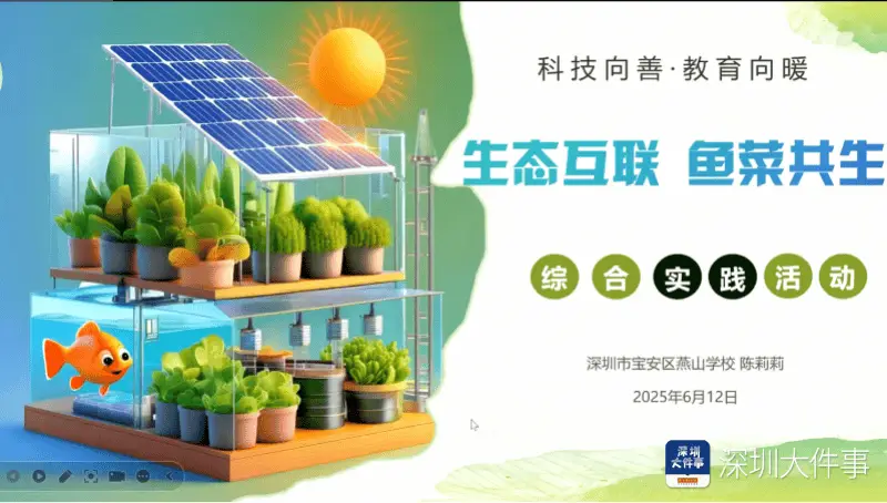 _实践式培训_综合实践活动课程培训简报