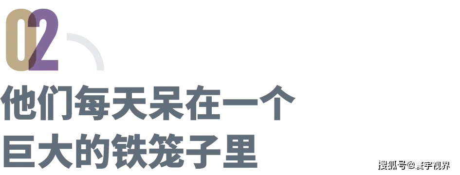 引起小孩厌学症__孩子厌学比例