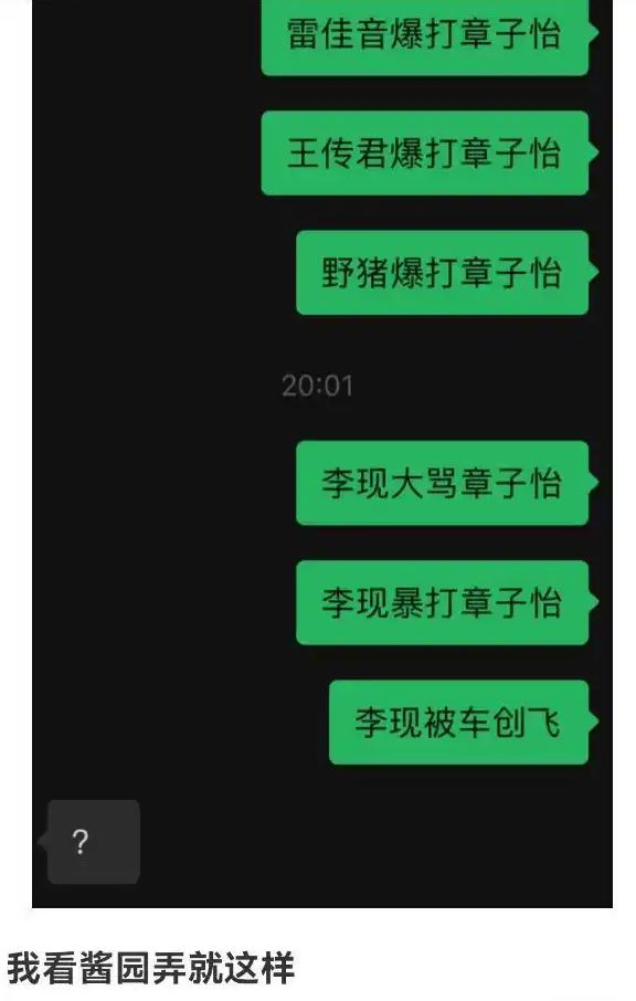 “章子怡挨打”背后的她更令人惊心