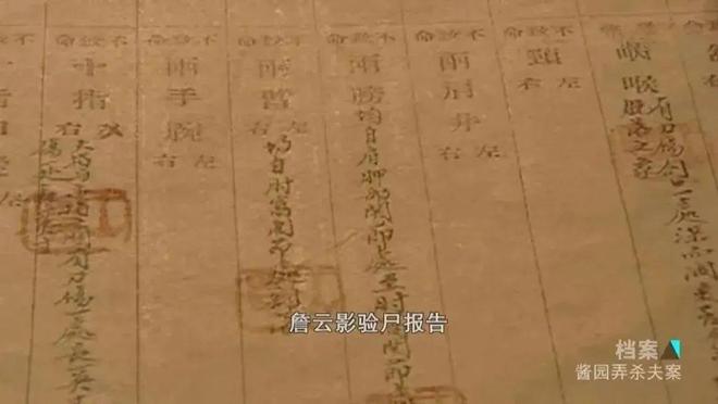 章子怡挨打背后惊心令人心疼_章子怡挨打背后惊心令人难忘_