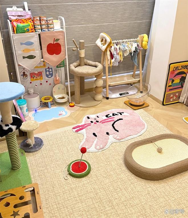 _福建一户人家晒出“次卧猫房”，掉毛拆家全解决，网友：真的服了_福建一户人家晒出“次卧猫房”，掉毛拆家全解决，网友：真的服了