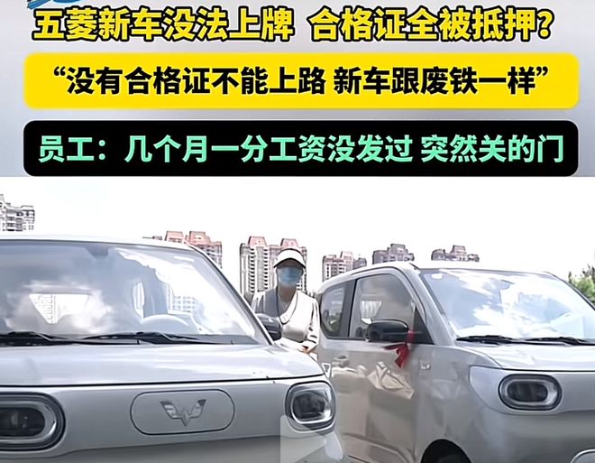 _上牌投诉电话_车辆上牌举报电话