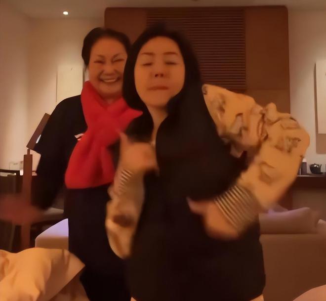 葛铮经纪人_汪小菲妈给王思聪道歉_