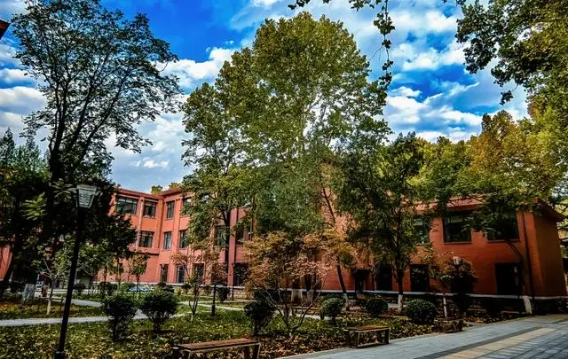 山东省大学转型_山东大学改革方案_
