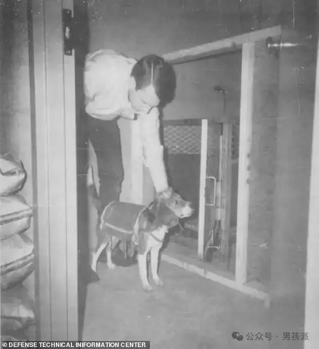 _孩子暴力行为_小孩暴力