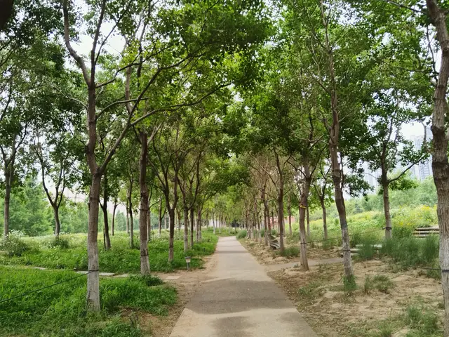 初高中娃学习怕苦怕累，又贪吃又贪玩是青春期特质，早明白早解脱__初高中娃学习怕苦怕累，又贪吃又贪玩是青春期特质，早明白早解脱
