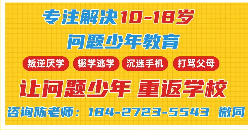 山东青少年心理健康守护者：专业资质如何赋能心理专家