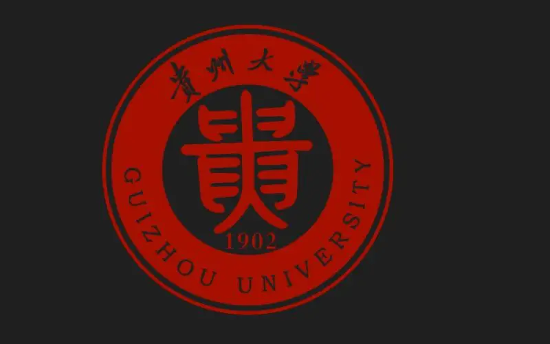 贵州财经大学高数大一__大一未来五年职业规划