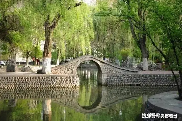 深度剖析：当今我国高校盲目追求世界排名，付出的代价令人痛心！