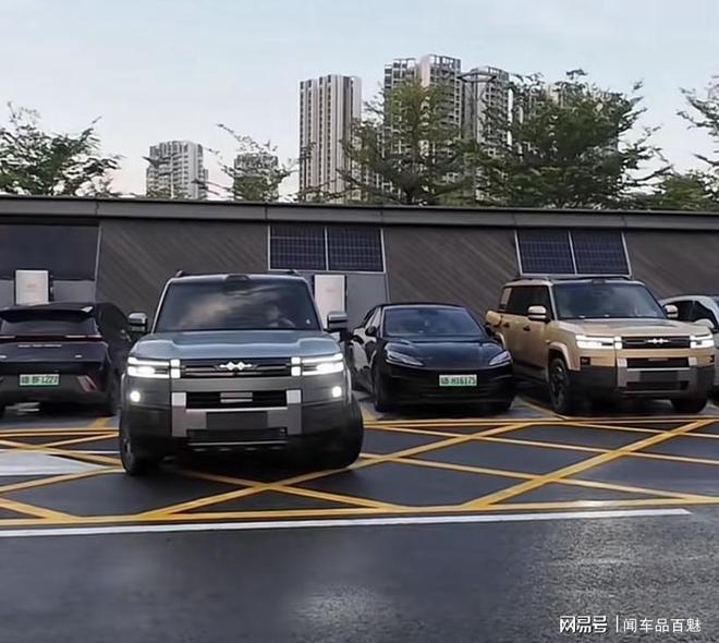 威豹护卫员__卫士xo