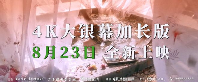 成虫小说_成虫txt_