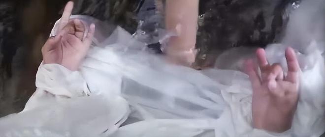 成虫小说_成虫txt_