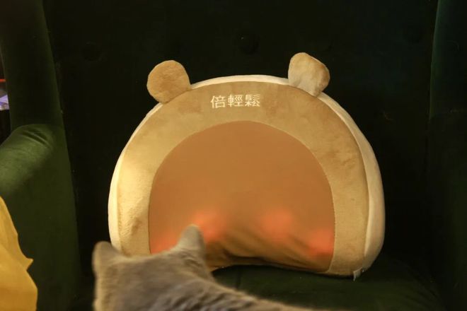 _养生馆邀请函话术_养生馆的按摩正规么
