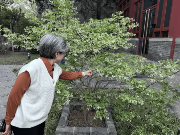 _文科以后能学什么_文科还能学现在的专业吗