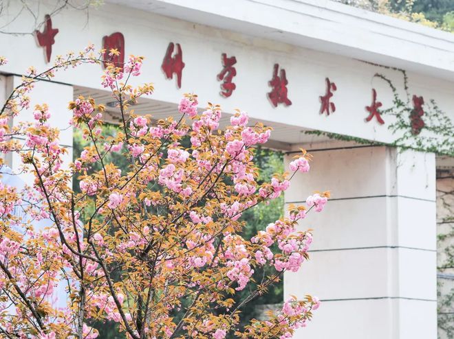_科技巨变_科技变化