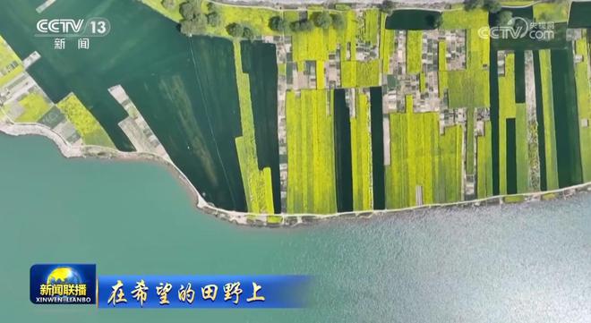 田野丰收的句子有哪些__丰收田野什么意思