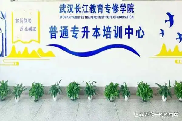 湖北最好的专升本辅导机构长江教育，到底好在哪里？__湖北最好的专升本辅导机构长江教育，到底好在哪里？